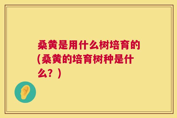 桑黄是用什么树培育的(桑黄的培育树种是什么?) 桑黄是用什么树培育的(桑黄的培育树种是什么?)