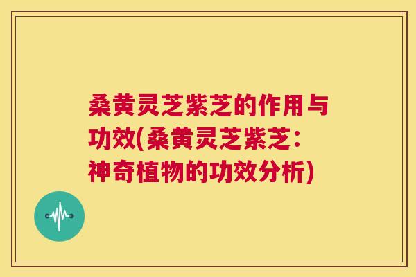 桑黄灵芝紫芝的作用与功效(桑黄灵芝紫芝:神奇植物的功效分析) 桑黄灵芝紫芝的作用与功效(桑黄灵芝紫芝:神奇植物的功效分析)