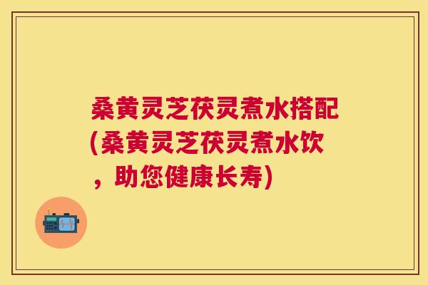 桑黄灵芝茯灵煮水搭配(桑黄灵芝茯灵煮水饮,助您健康长寿) 桑黄灵芝茯灵煮水搭配(桑黄灵芝茯灵煮水饮,助您健康长寿)