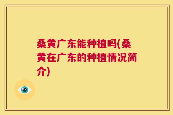 桑黄广东能种植吗(桑黄在广东的种植情况简介) 桑黄广东能种植吗(桑黄在广东的种植情况简介)