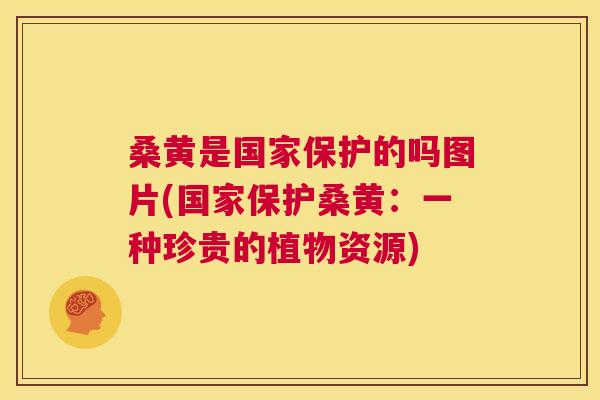 桑黄是国家保护的吗图片(国家保护桑黄:一种珍贵的植物资源) 桑黄是国家保护的吗图片(国家保护桑黄:一种珍贵的植物资源)