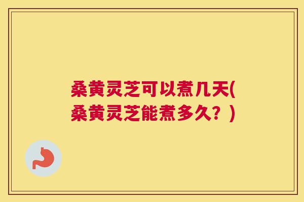 桑黄灵芝可以煮几天(桑黄灵芝能煮多久?) 桑黄灵芝可以煮几天(桑黄灵芝能煮多久?)