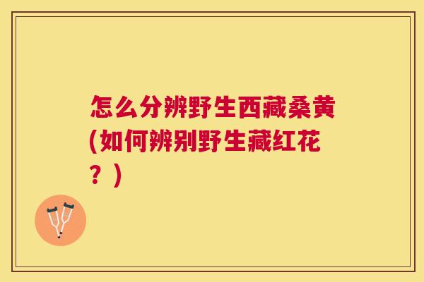 怎么分辨野生西藏桑黄(如何辨别野生藏红花?) 怎么分辨野生西藏桑黄(如何辨别野生藏红花?)