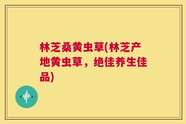 林芝桑黄虫草(林芝产地黄虫草,绝佳养生佳品) 林芝桑黄虫草(林芝产地黄虫草,绝佳养生佳品)