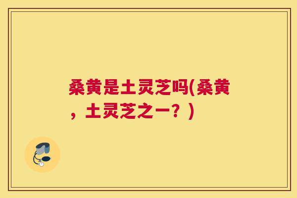 桑黄是土灵芝吗(桑黄,土灵芝之一?) 桑黄是土灵芝吗(桑黄,土灵芝之一?)