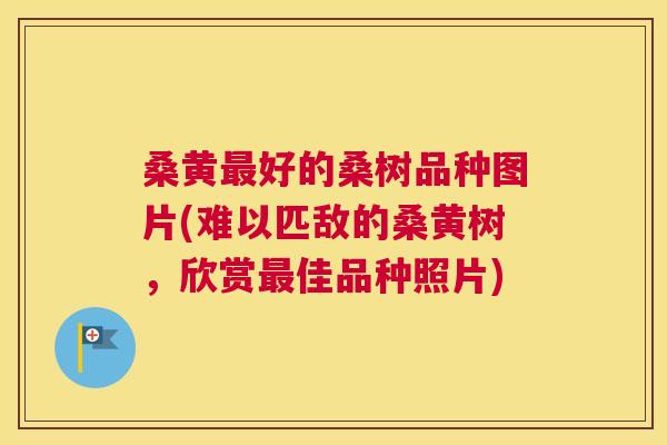 桑黄好的桑树品种图片(难以匹敌的桑黄树,欣赏佳品种照片) 桑黄好的桑树品种图片(难以匹敌的桑黄树,欣赏佳品种照片)