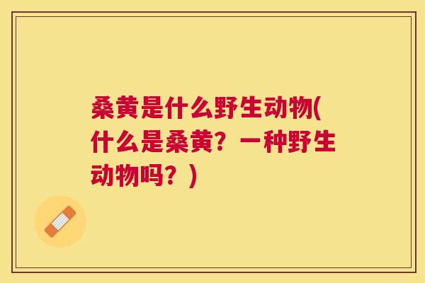 桑黄是什么野生动物(什么是桑黄?一种野生动物吗?) 桑黄是什么野生动物(什么是桑黄?一种野生动物吗?)