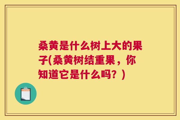 桑黄是什么树上大的果子(桑黄树结重果,你知道它是什么吗?) 桑黄是什么树上大的果子(桑黄树结重果,你知道它是什么吗?)