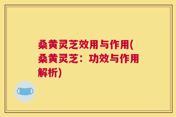 桑黄灵芝效用与作用(桑黄灵芝:功效与作用解析) 桑黄灵芝效用与作用(桑黄灵芝:功效与作用解析)