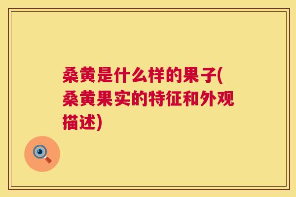 桑黄是什么样的果子(桑黄果实的特征和外观描述) 桑黄是什么样的果子(桑黄果实的特征和外观描述)