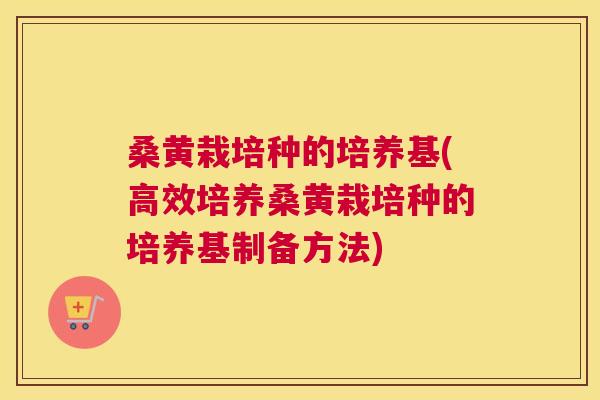 桑黄栽培种的培养基(高效培养桑黄栽培种的培养基制备方法) 桑黄栽培种的培养基(高效培养桑黄栽培种的培养基制备方法)