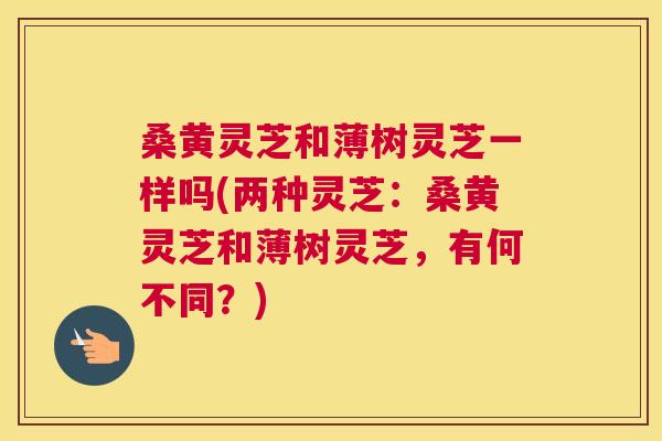 桑黄灵芝和薄树灵芝一样吗(两种灵芝:桑黄灵芝和薄树灵芝,有何不同?) 桑黄灵芝和薄树灵芝一样吗(两种灵芝:桑黄灵芝和薄树灵芝,有何不同?)