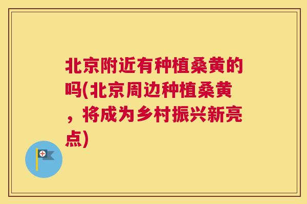 北京附近有种植桑黄的吗(北京周边种植桑黄,将成为乡村振兴新亮点) 北京附近有种植桑黄的吗(北京周边种植桑黄,将成为乡村振兴新亮点)