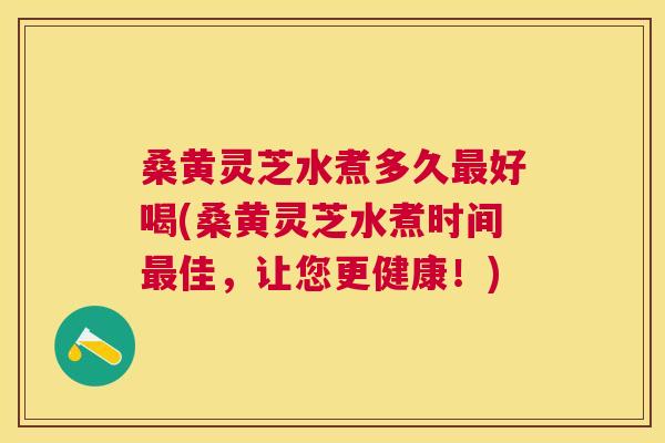 桑黄灵芝水煮多久好喝(桑黄灵芝水煮时间佳,让您更健康!) 桑黄灵芝水煮多久好喝(桑黄灵芝水煮时间佳,让您更健康!)
