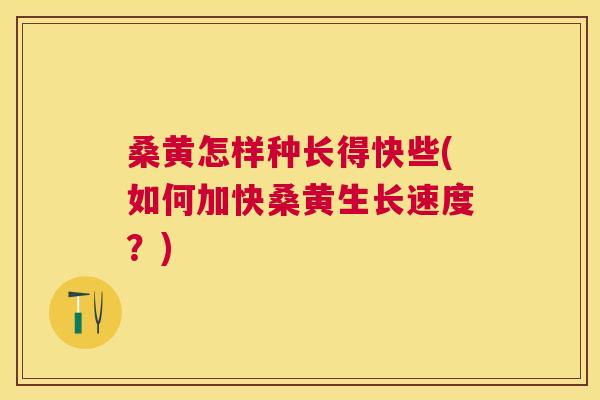 桑黄怎样种长得快些(如何加快桑黄生长速度?) 桑黄怎样种长得快些(如何加快桑黄生长速度?)