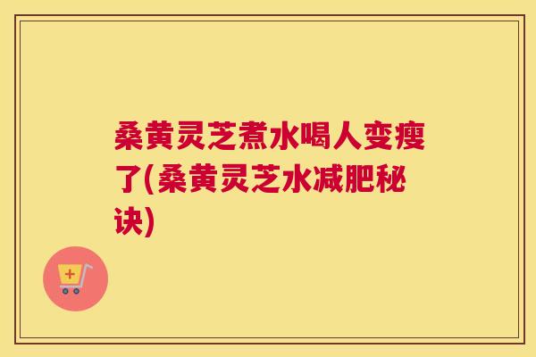 桑黄灵芝煮水喝人变瘦了(桑黄灵芝水秘诀) 桑黄灵芝煮水喝人变瘦了(桑黄灵芝水秘诀)