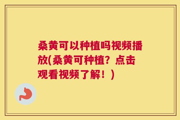 桑黄可以种植吗视频播放(桑黄可种植?点击观看视频了解!) 桑黄可以种植吗视频播放(桑黄可种植?点击观看视频了解!)