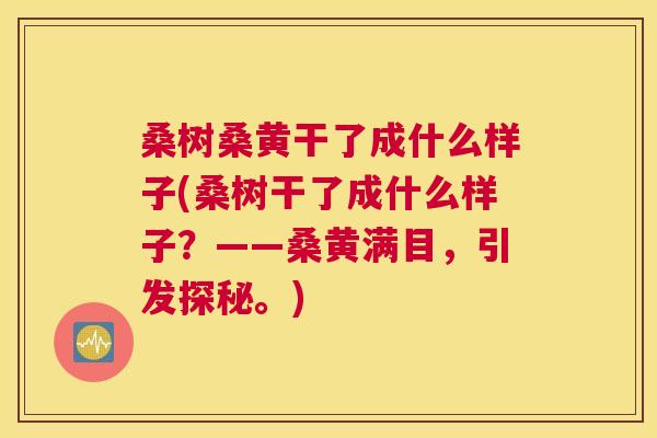 桑树桑黄干了成什么样子(桑树干了成什么样子?——桑黄满目,引发探秘。) 桑树桑黄干了成什么样子(桑树干了成什么样子?——桑黄满目,引发探秘。)