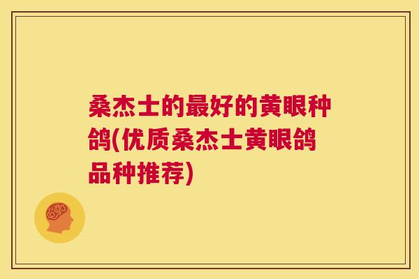桑杰士的好的黄眼种鸽(优质桑杰士黄眼鸽品种推荐) 桑杰士的好的黄眼种鸽(优质桑杰士黄眼鸽品种推荐)