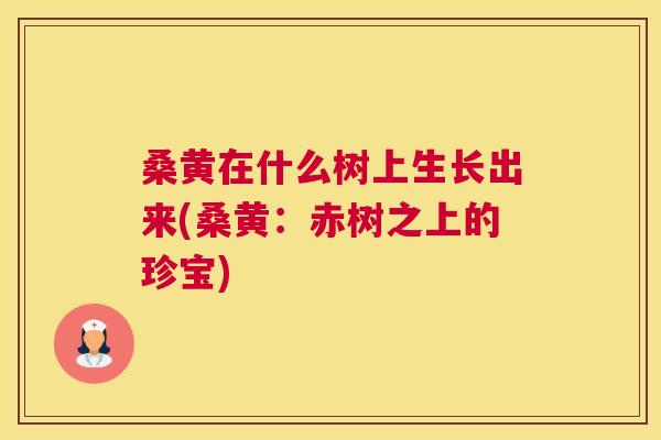 桑黄在什么树上生长出来(桑黄:赤树之上的珍宝) 桑黄在什么树上生长出来(桑黄:赤树之上的珍宝)