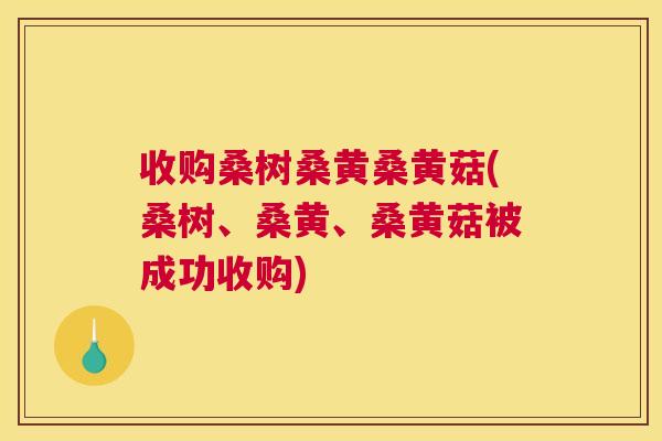 收购桑树桑黄桑黄菇(桑树、桑黄、桑黄菇被成功收购) 收购桑树桑黄桑黄菇(桑树、桑黄、桑黄菇被成功收购)