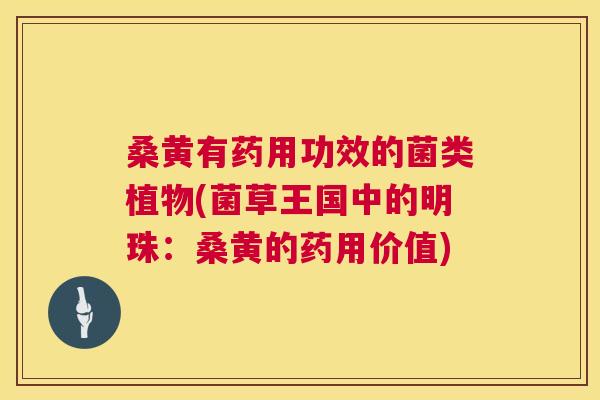 桑黄有药用功效的菌类植物(菌草王国中的明珠:桑黄的药用价值) 桑黄有药用功效的菌类植物(菌草王国中的明珠:桑黄的药用价值)