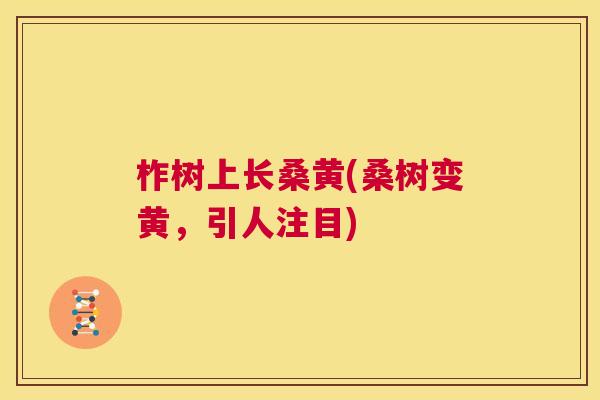 柞树上长桑黄(桑树变黄,引人注目) 柞树上长桑黄(桑树变黄,引人注目)