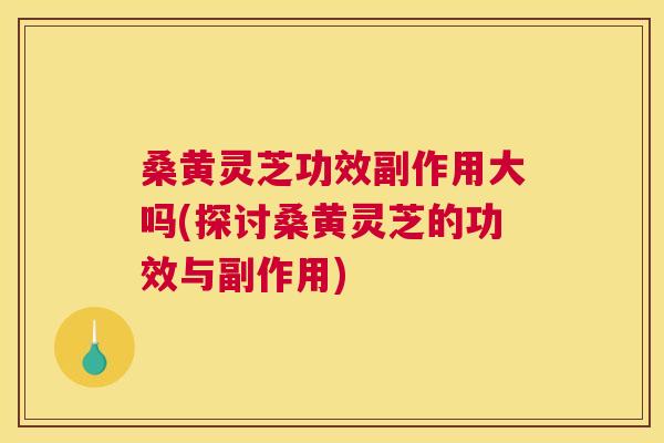 桑黄灵芝功效副作用大吗(探讨桑黄灵芝的功效与副作用) 桑黄灵芝功效副作用大吗(探讨桑黄灵芝的功效与副作用)