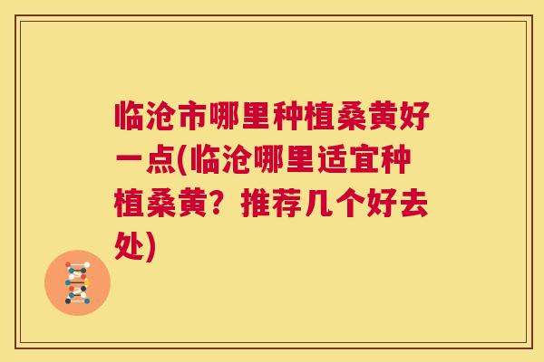 临沧市哪里种植桑黄好一点(临沧哪里适宜种植桑黄?推荐几个好去处) 临沧市哪里种植桑黄好一点(临沧哪里适宜种植桑黄?推荐几个好去处)