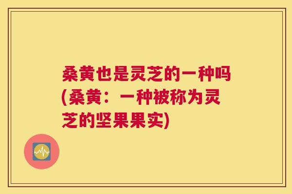 桑黄也是灵芝的一种吗(桑黄:一种被称为灵芝的坚果果实) 桑黄也是灵芝的一种吗(桑黄:一种被称为灵芝的坚果果实)