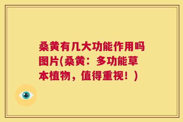 桑黄有几大功能作用吗图片(桑黄:多功能草本植物,值得重视!) 桑黄有几大功能作用吗图片(桑黄:多功能草本植物,值得重视!)