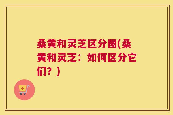 桑黄和灵芝区分图(桑黄和灵芝:如何区分它们?) 桑黄和灵芝区分图(桑黄和灵芝:如何区分它们?)
