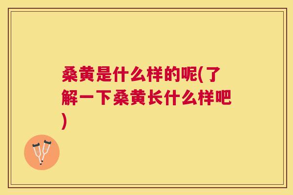 桑黄是什么样的呢(了解一下桑黄长什么样吧)