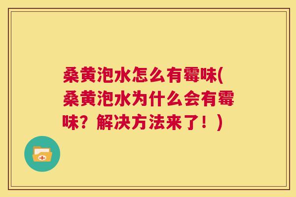 桑黄泡水怎么有霉味(桑黄泡水为什么会有霉味?解决方法来了!) 桑黄泡水怎么有霉味(桑黄泡水为什么会有霉味?解决方法来了!)