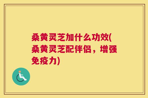 桑黄灵芝加什么功效(桑黄灵芝配伴侣，增强力)