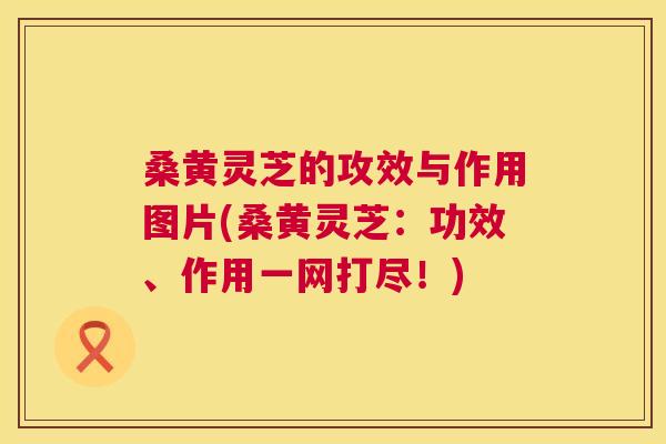 桑黄灵芝的攻效与作用图片(桑黄灵芝:功效、作用一网打尽!) 桑黄灵芝的攻效与作用图片(桑黄灵芝:功效、作用一网打尽!)