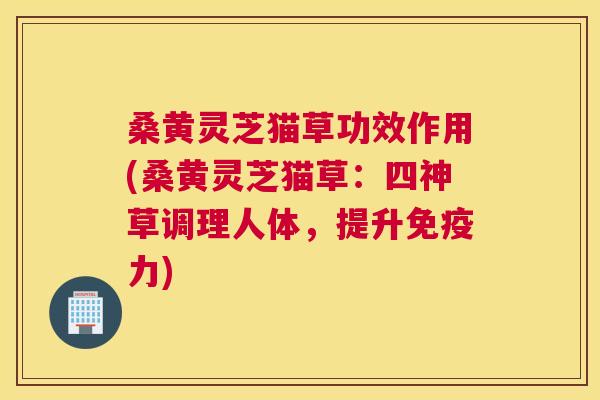 桑黄灵芝猫草功效作用(桑黄灵芝猫草:四神草调理人体,提升力) 桑黄灵芝猫草功效作用(桑黄灵芝猫草:四神草调理人体,提升力)