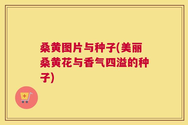 桑黄图片与种子(美丽桑黄花与香气四溢的种子) 桑黄图片与种子(美丽桑黄花与香气四溢的种子)