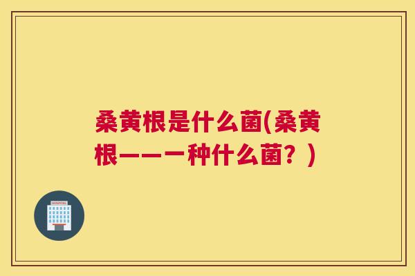 桑黄根是什么菌(桑黄根——一种什么菌?) 桑黄根是什么菌(桑黄根——一种什么菌?)