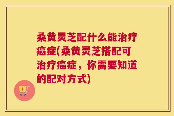桑黄灵芝配什么能症(桑黄灵芝搭配可症,你需要知道的配对方式) 桑黄灵芝配什么能症(桑黄灵芝搭配可症,你需要知道的配对方式)