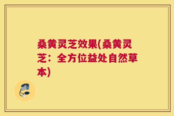 桑黄灵芝效果(桑黄灵芝:全方位益处自然草本) 桑黄灵芝效果(桑黄灵芝:全方位益处自然草本)