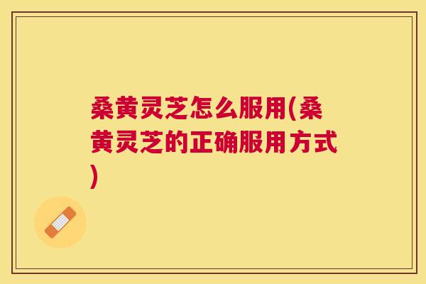 桑黄灵芝怎么服用(桑黄灵芝的正确服用方式) 桑黄灵芝怎么服用(桑黄灵芝的正确服用方式)