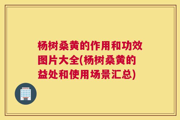 杨树桑黄的作用和功效图片大全(杨树桑黄的益处和使用场景汇总) 杨树桑黄的作用和功效图片大全(杨树桑黄的益处和使用场景汇总)