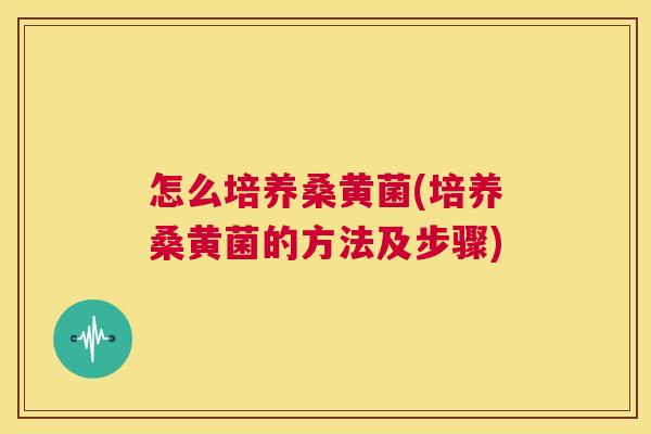 怎么培养桑黄菌(培养桑黄菌的方法及步骤) 怎么培养桑黄菌(培养桑黄菌的方法及步骤)