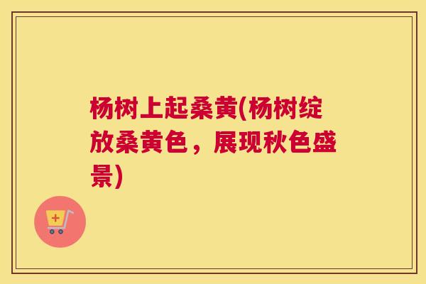 杨树上起桑黄(杨树绽放桑黄色,展现秋色盛景) 杨树上起桑黄(杨树绽放桑黄色,展现秋色盛景)
