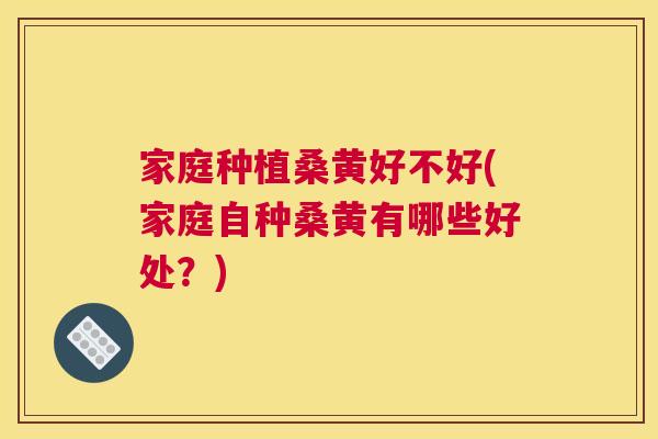 家庭种植桑黄好不好(家庭自种桑黄有哪些好处?) 家庭种植桑黄好不好(家庭自种桑黄有哪些好处?)