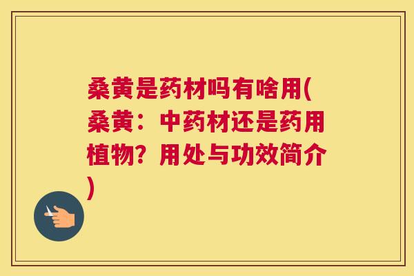 桑黄是药材吗有啥用(桑黄:材还是药用植物?用处与功效简介) 桑黄是药材吗有啥用(桑黄:材还是药用植物?用处与功效简介)