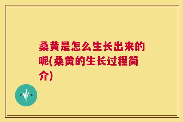 桑黄是怎么生长出来的呢(桑黄的生长过程简介) 桑黄是怎么生长出来的呢(桑黄的生长过程简介)