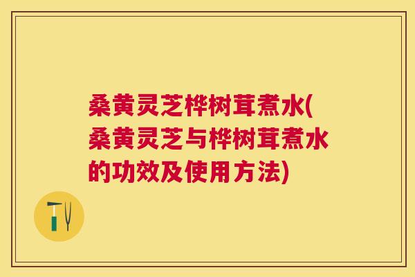 桑黄灵芝桦树茸煮水(桑黄灵芝与桦树茸煮水的功效及使用方法) 桑黄灵芝桦树茸煮水(桑黄灵芝与桦树茸煮水的功效及使用方法)