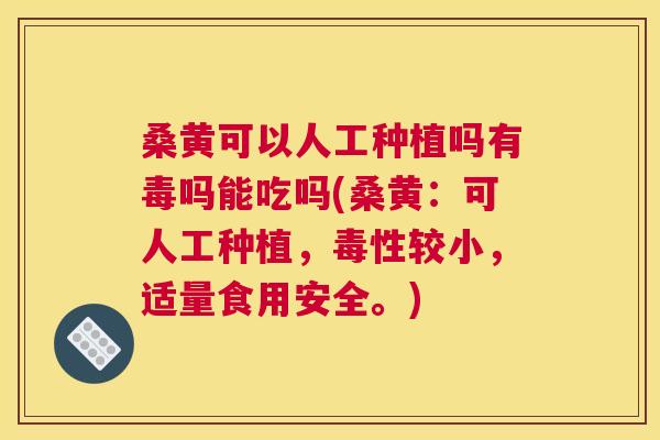 桑黄可以人工种植吗有毒吗能吃吗(桑黄:可人工种植,毒性较小,适量食用安全。) 桑黄可以人工种植吗有毒吗能吃吗(桑黄:可人工种植,毒性较小,适量食用安全。)